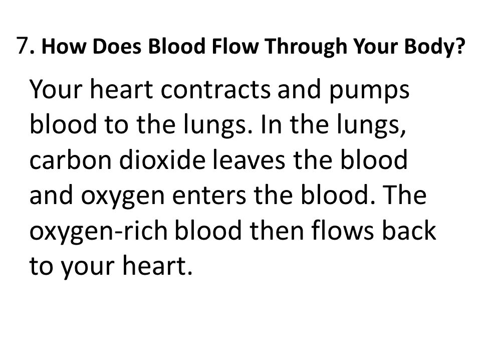 7. How Does Blood Flow Through Your Body