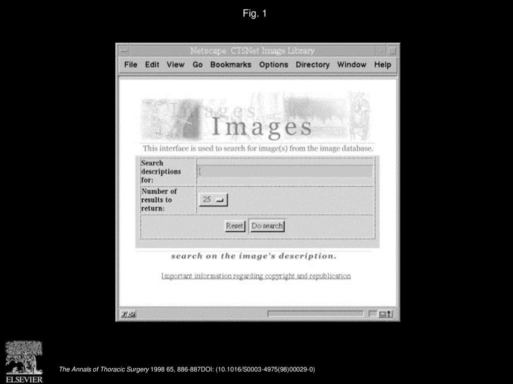 Fig. 1 Simple search interface for the CTSNet Image Library.
