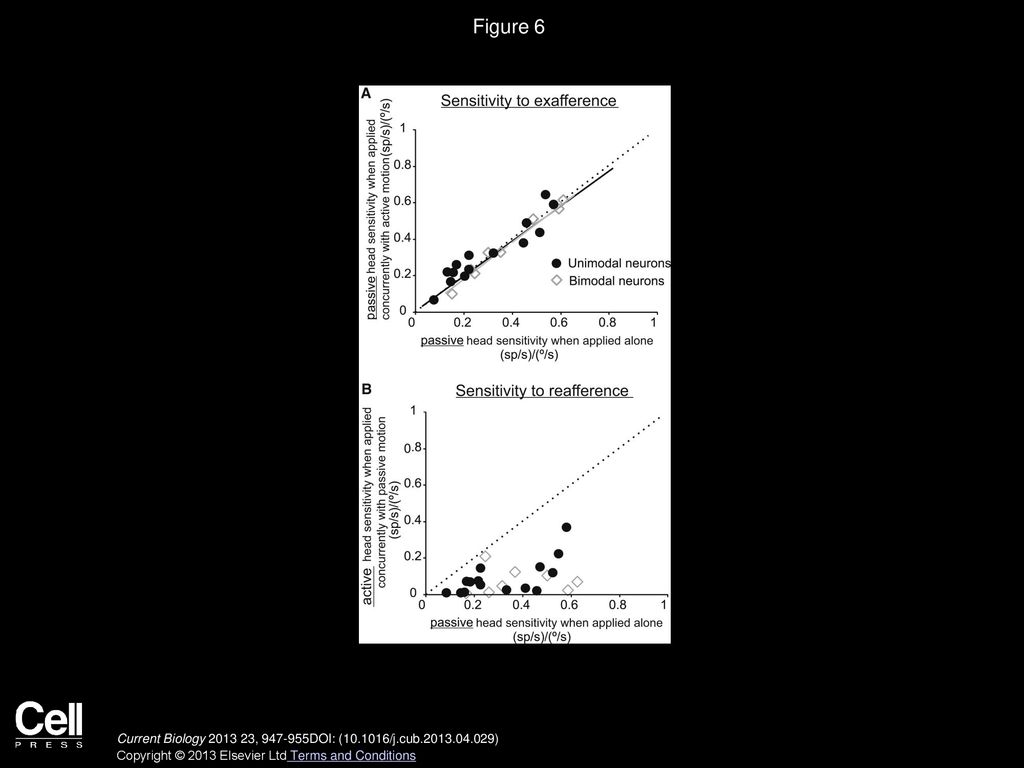 Figure 6 rFN Neurons Encode an Explicit Estimate of Exafference