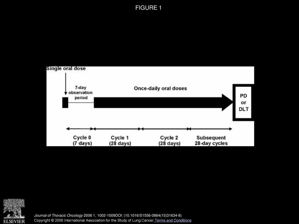 FIGURE 1 Study design. PD, progressive disease; DLT, dose-limiting toxicity.