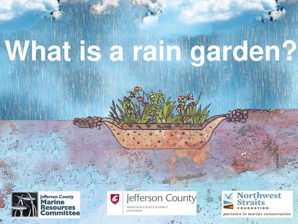 What Is A Rain Garden This Presentation Is Designed To Introduce