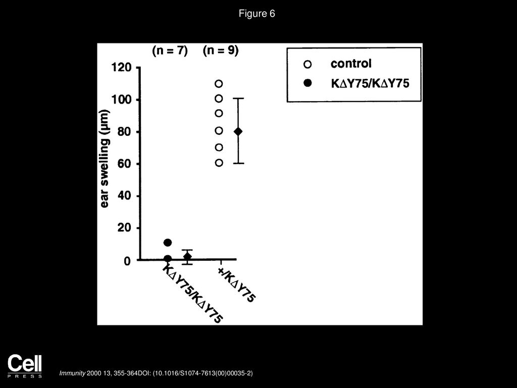 Figure 6 Impaired CS to DNFB in KΔY75/KΔY75 Mice