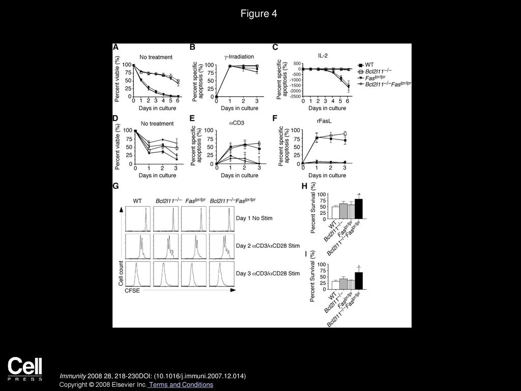 Figure 4 CD8+ T Cells from Bcl2l11−/−Faslpr/lpr Mice Have Increased Survival through Division Compared to Parental Genotypes.