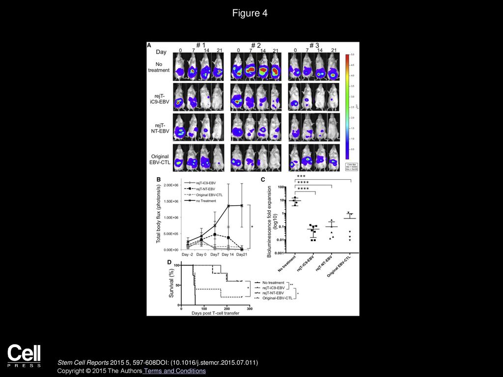 Figure 4 In Vivo Antitumor Effect of iC9-iPSC-Derived EBV-CTLs