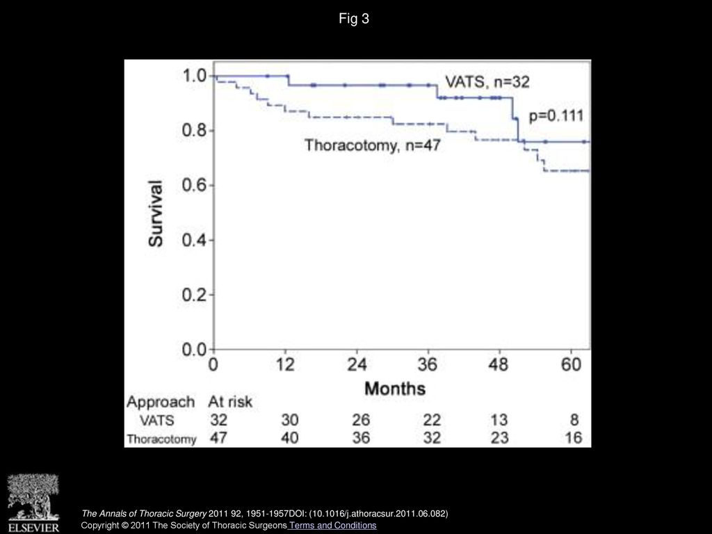 Fig 3 Survival comparison after lobectomy by video-assisted thoracic surgery (VATS) versus thoracotomy among stage I patients.