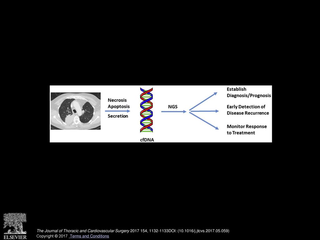 Evaluation of circulating tumor DNA: an evolving paradigm for precision cancer therapy.