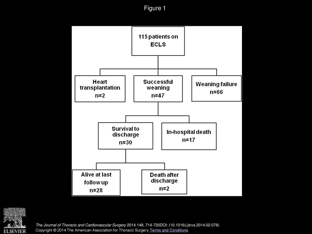 Figure 1 Flowchart of the outcomes in patients receiving ECLS. ECLS, Extracorporeal life support.