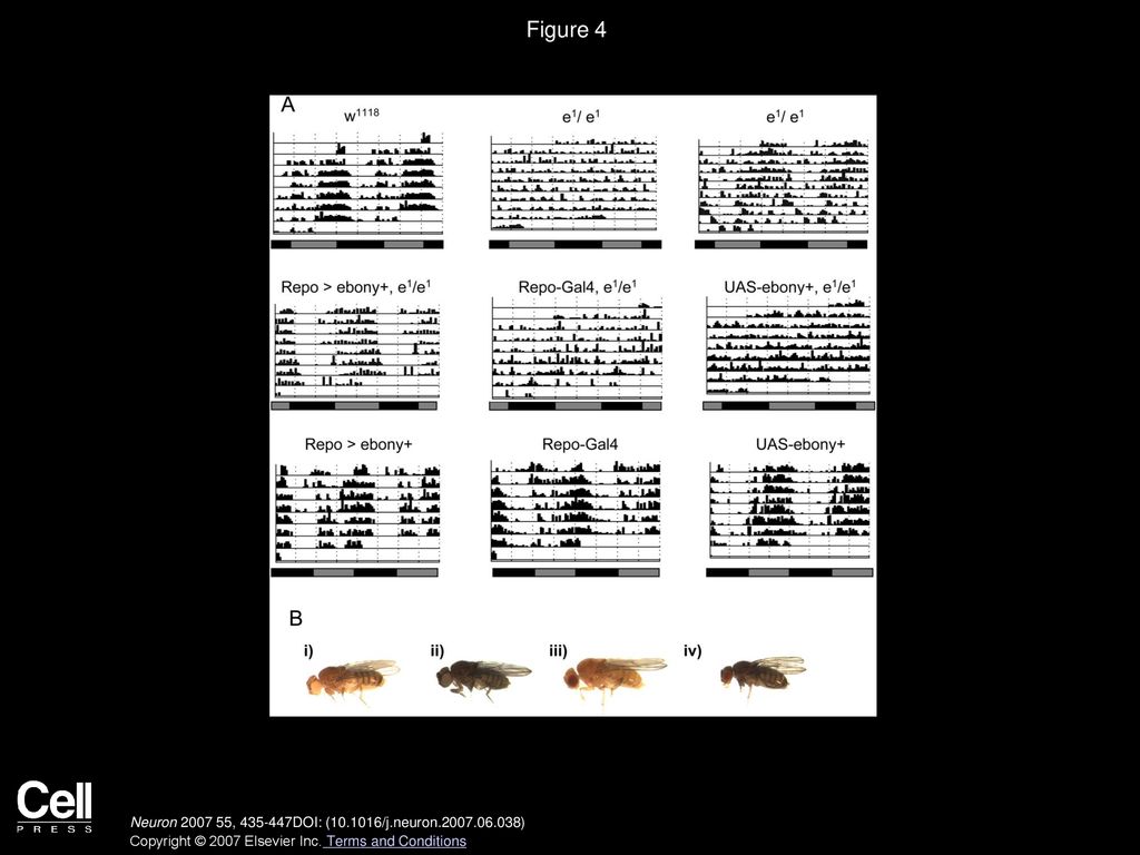 Figure 4