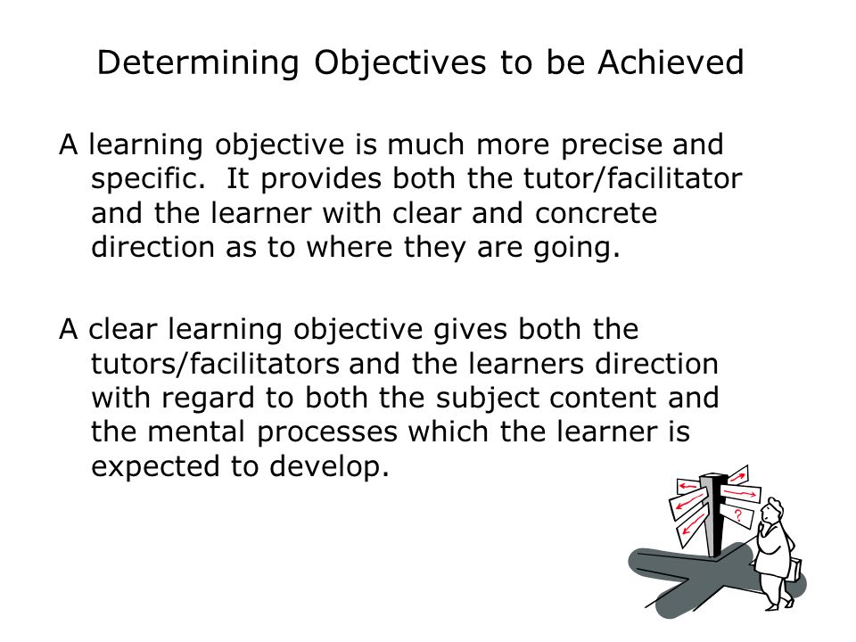Determining Objectives to be Achieved