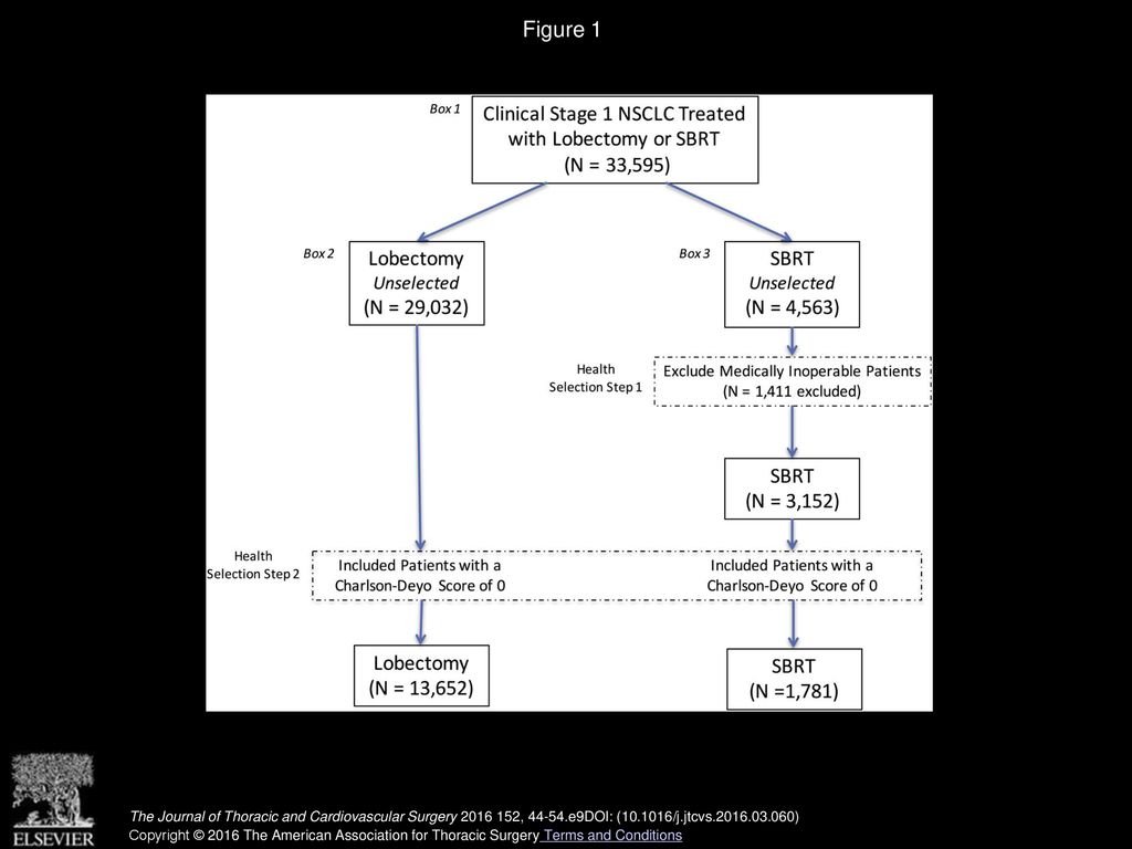 Figure 1 Health-based patient selection process. NSCLC, Non–small cell lung cancer; SBRT, stereotactic body radiation therapy.