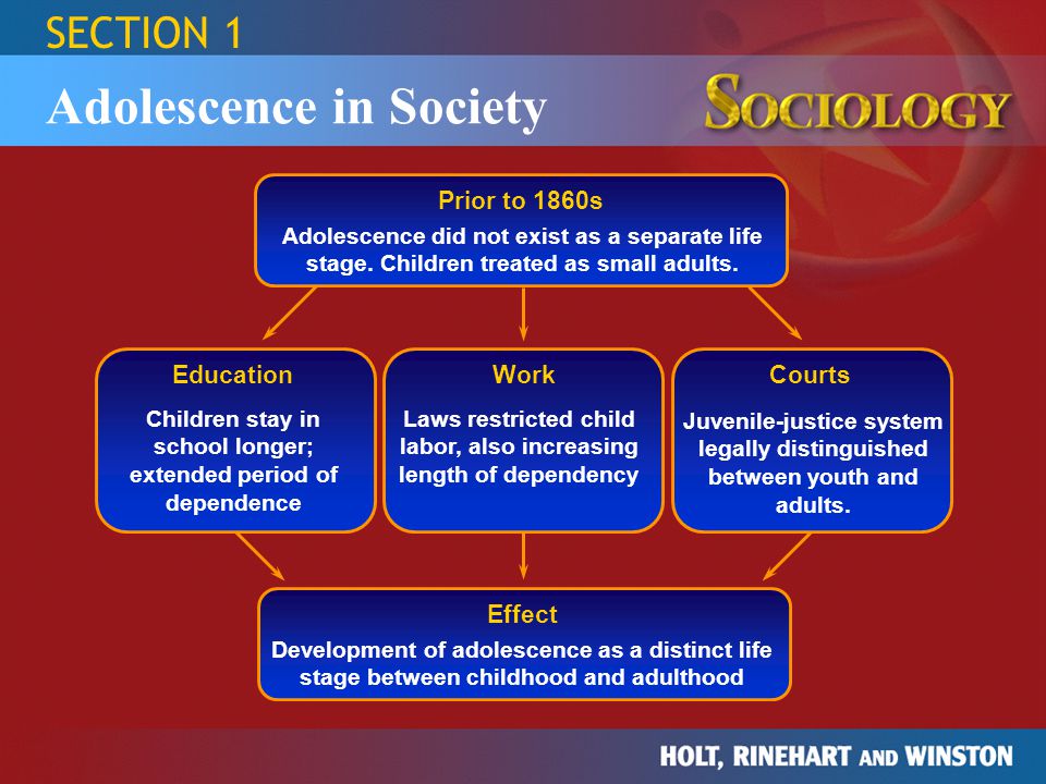 Adolescence in Society