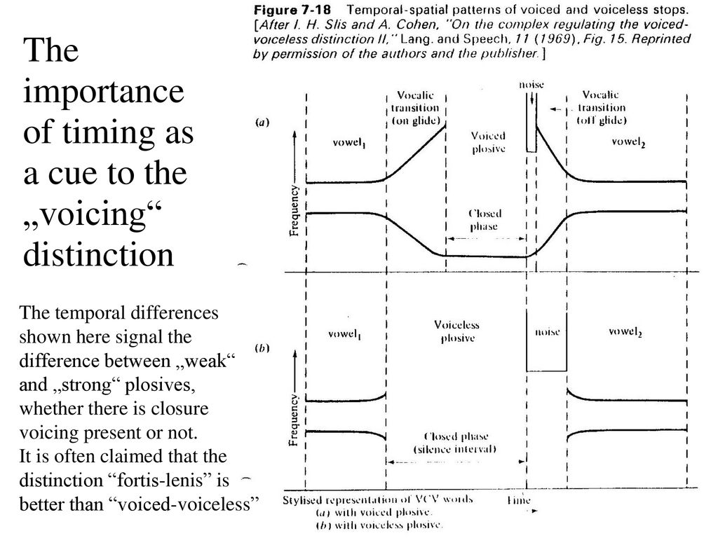 speech perception (acoustic cues)