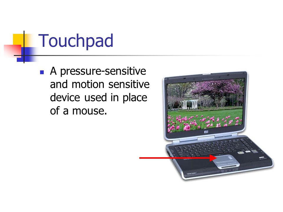 Touchpad A pressure-sensitive and motion sensitive device used in place of a mouse.