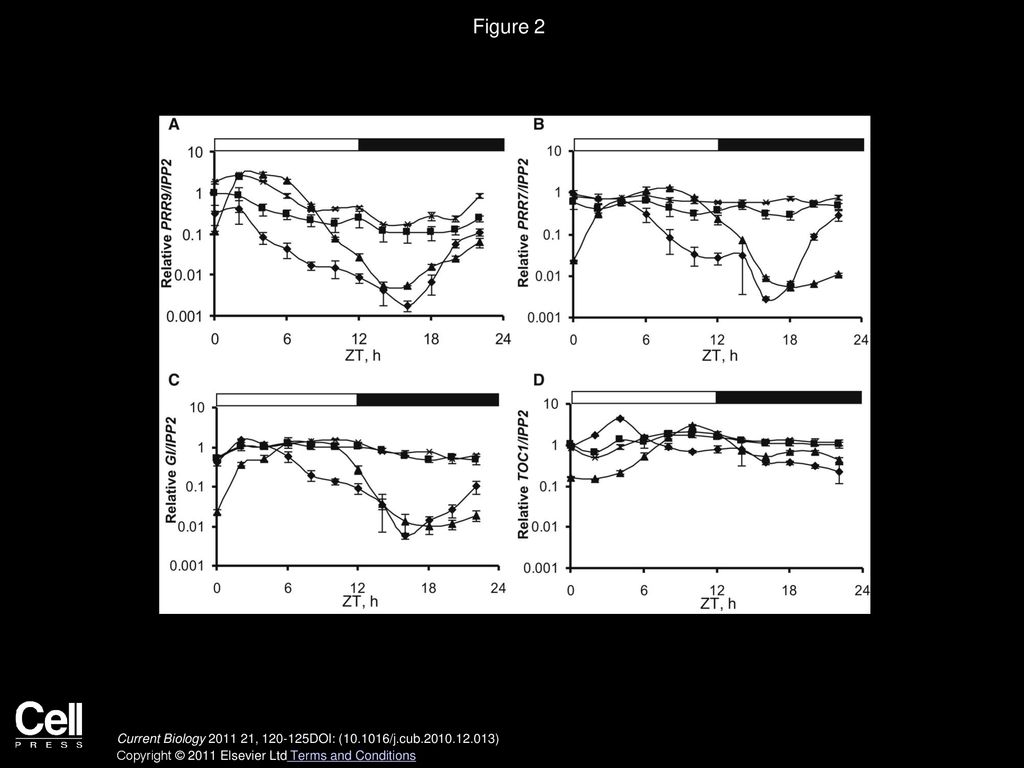 Figure 2 ELF3 Regulates the Expression of Core Circadian Genes