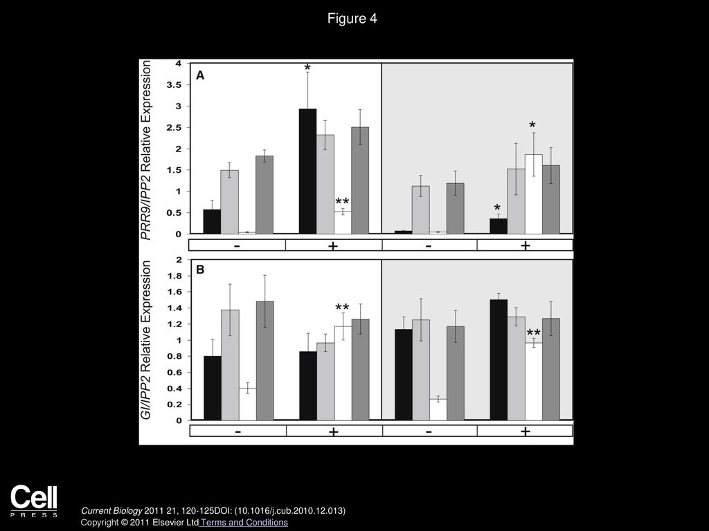 Figure 4 ELF3 Is Required for the Control of Circadian-Regulated Light Responses in GI and PRR9.