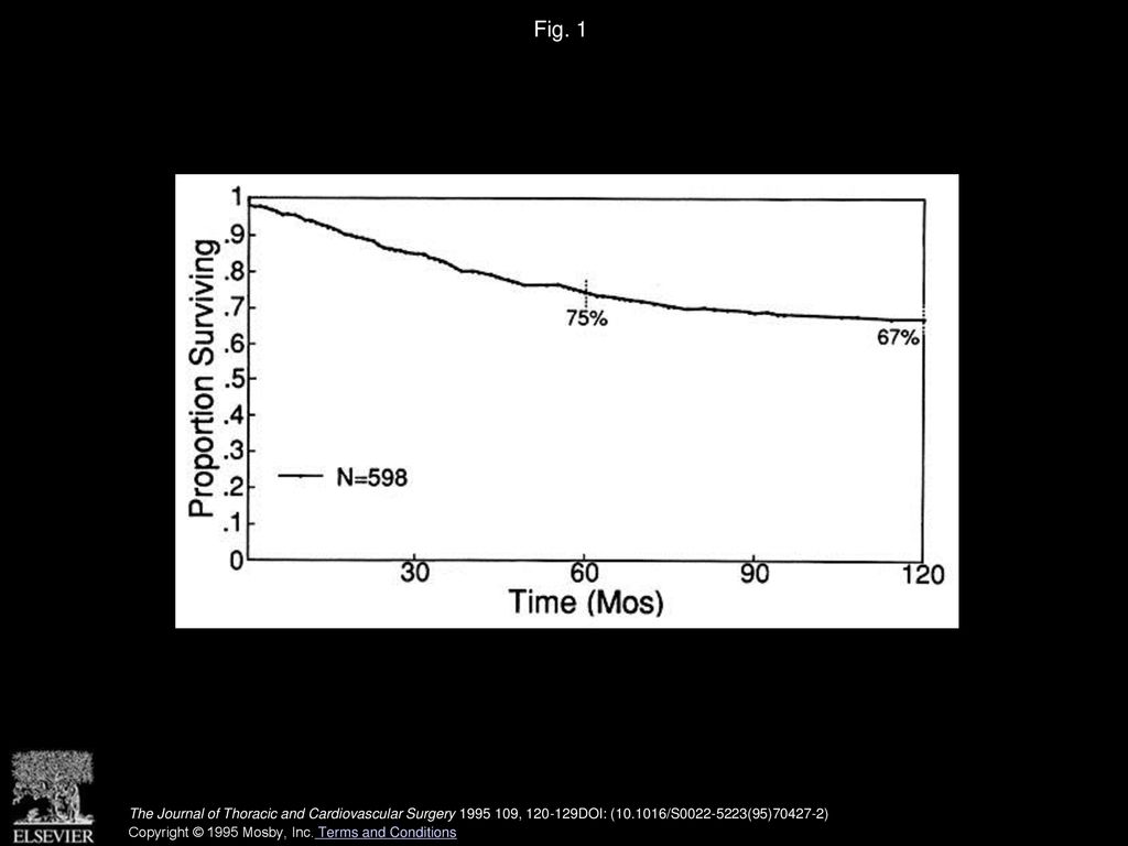 Fig. 1 Overall survival after resection of stage I non-small-cell lung cancer.