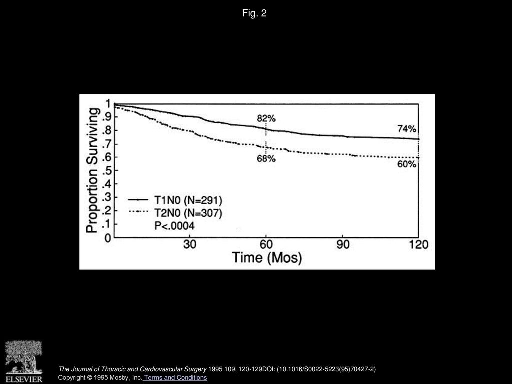 Fig. 2 Survival by T factor in resected stage I lung cancer.