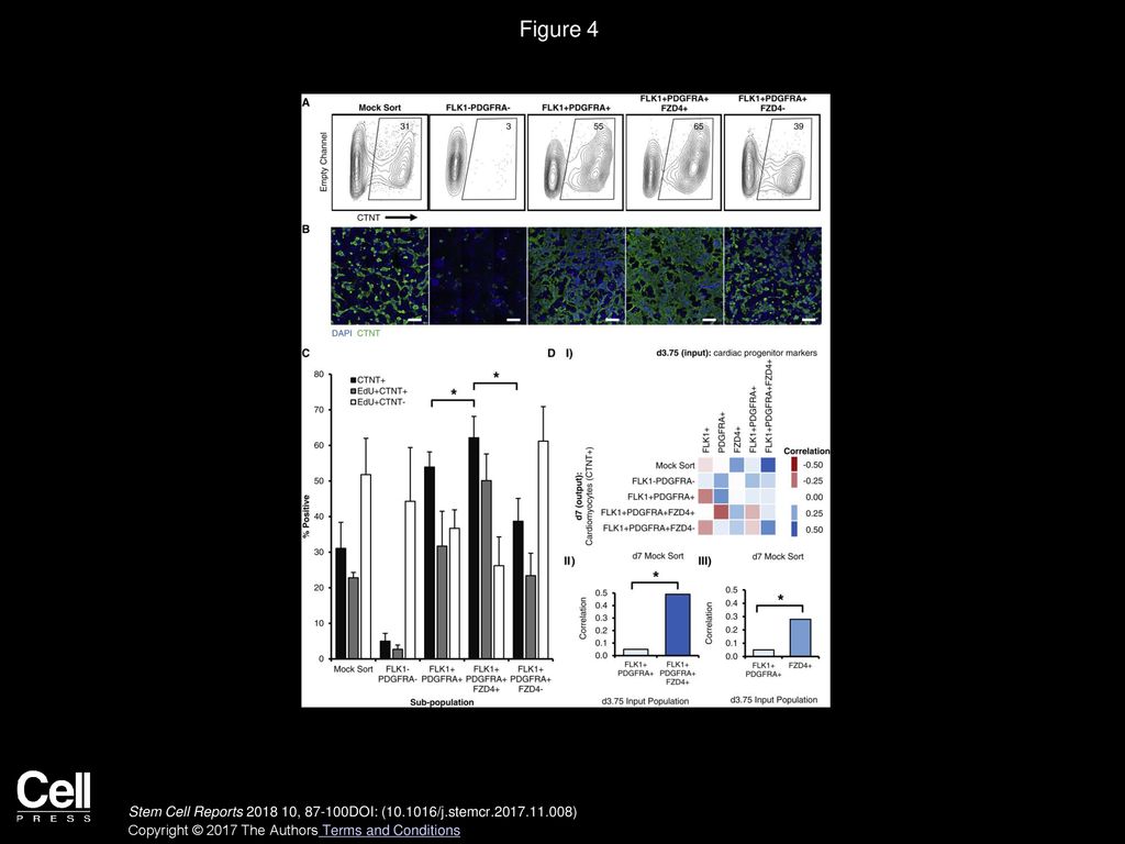 Figure 4 FZD4 Enriches CPC in the FLK1+PDGFRA+ Population, Increasing Subsequent CM Yield.