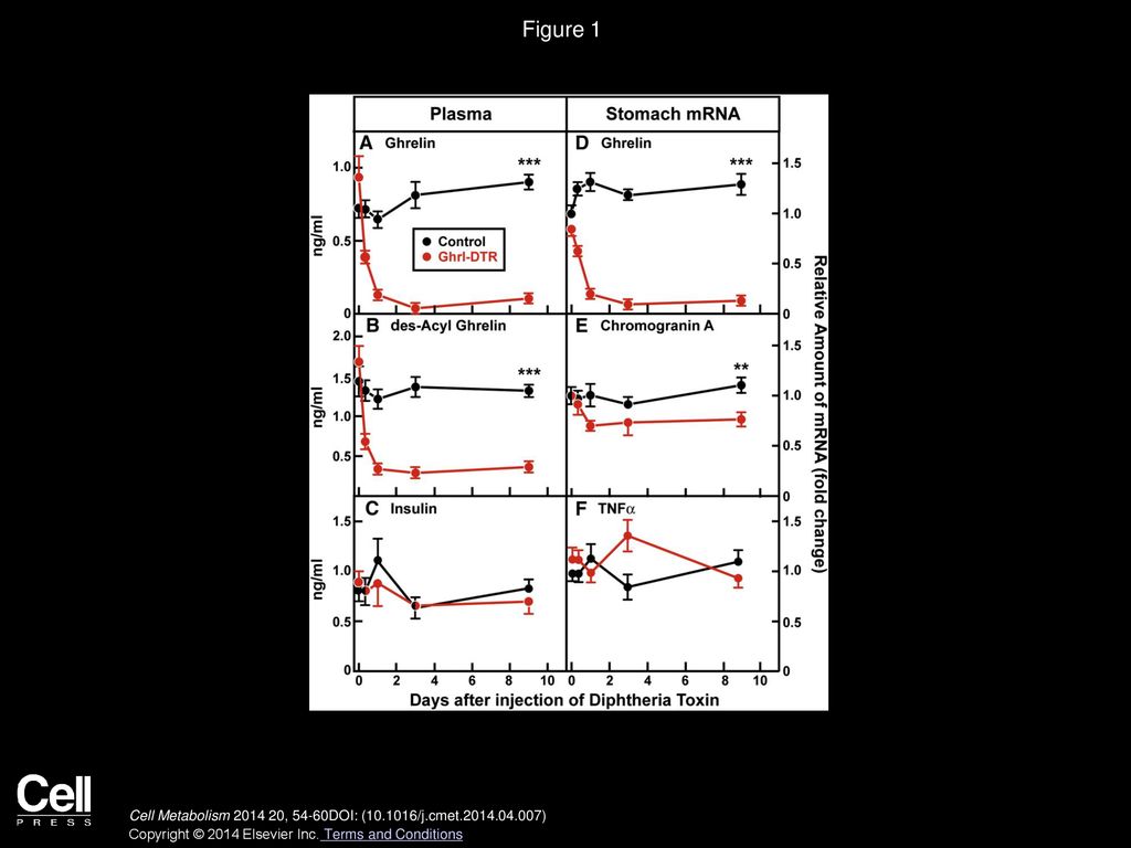 Figure 1 Plasma Hormones and Stomach mRNAs of Control and Ghrl-DTR Mice over 9 Days following Injection of DTX.