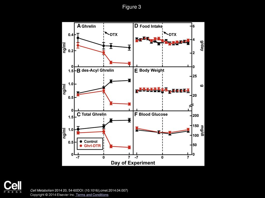 Figure 3 Body Weight and Food Intake of Control and Ghrl-DTR Mice before and after Ablation of Ghrelin Cells.