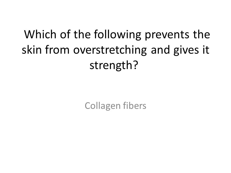 Which of the following prevents the skin from overstretching and gives it strength