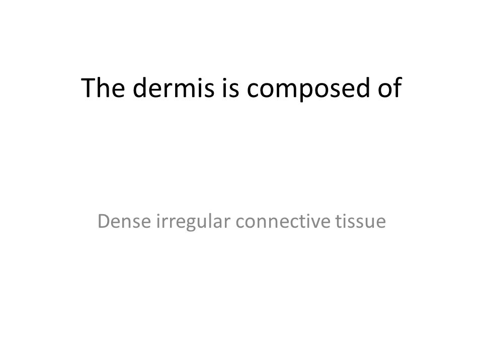 The dermis is composed of