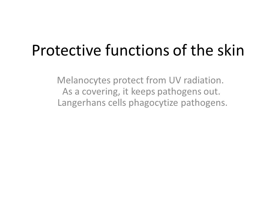 Protective functions of the skin