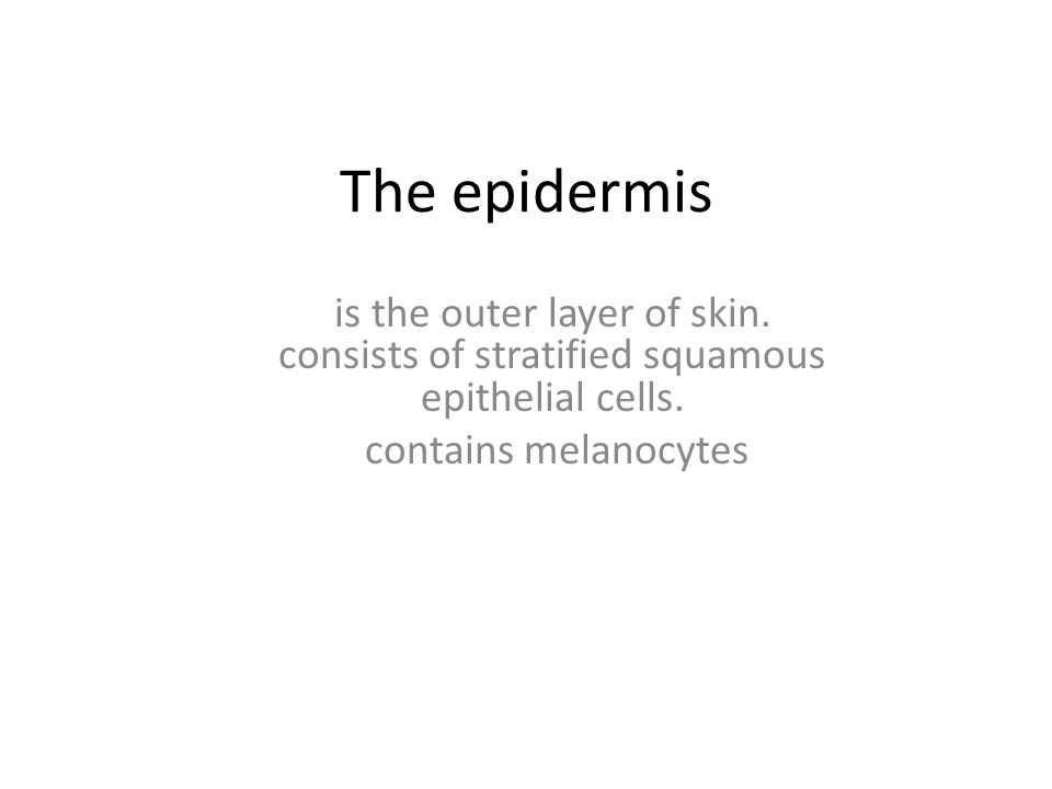 The epidermis is the outer layer of skin. consists of stratified squamous epithelial cells.