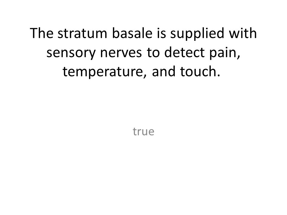 The stratum basale is supplied with sensory nerves to detect pain, temperature, and touch.
