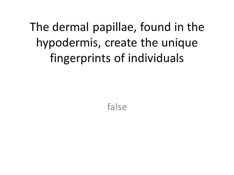 The dermal papillae, found in the hypodermis, create the unique fingerprints of individuals