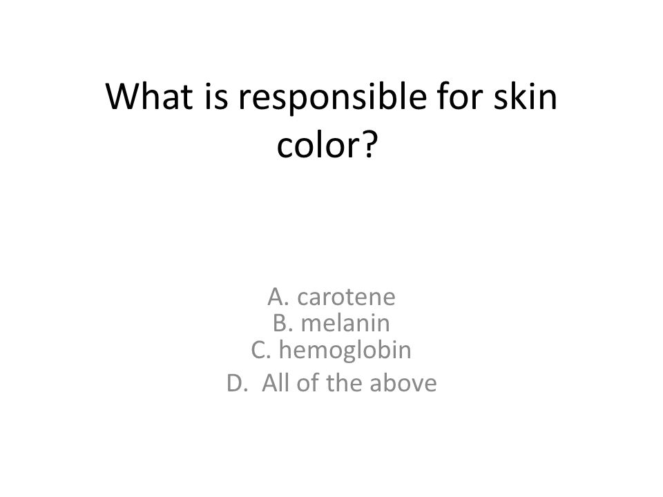 What is responsible for skin color