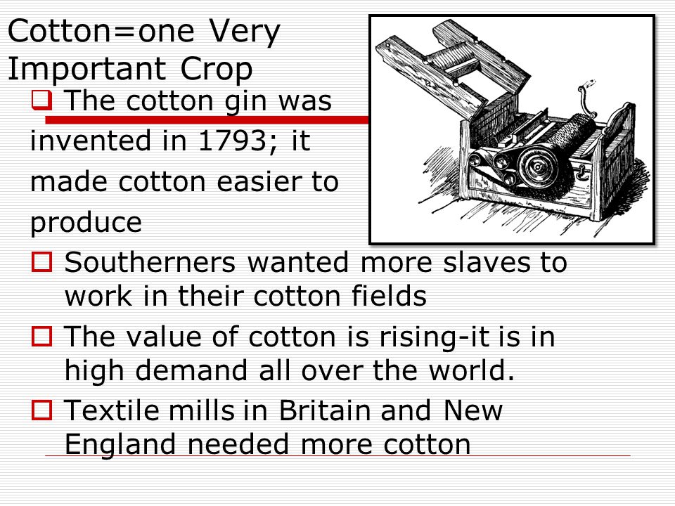 Cotton=one Very Important Crop