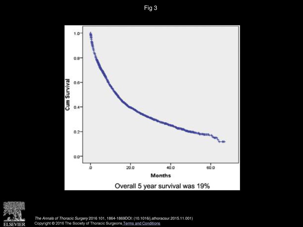 Fig 3 Overall survival of nonscreened patients. (Cum = cumulative.)