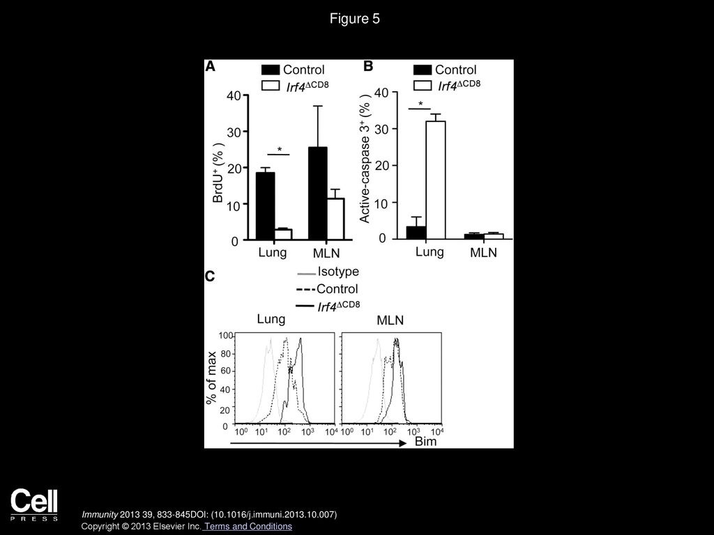 Figure 5 Selective Ablation of IRF4 in CD8+ T Cells Impairs CD8+ T Cell Proliferation and Survival In Vivo.