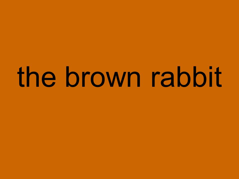the brown rabbit