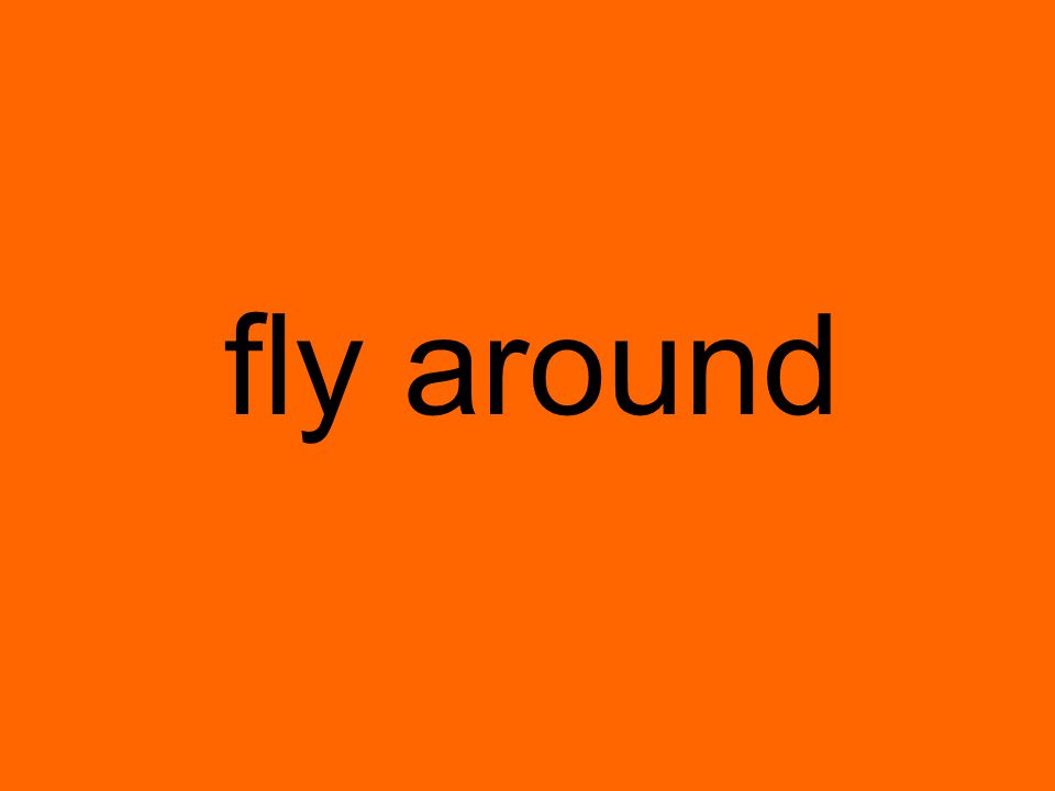 fly around