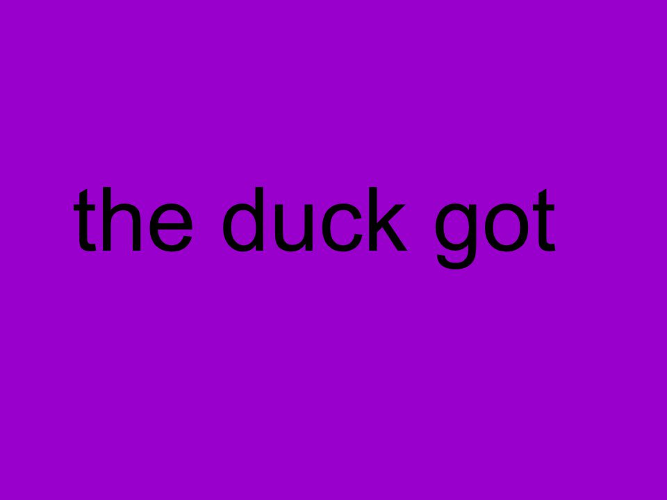 the duck got
