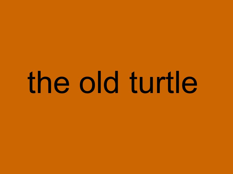 the old turtle