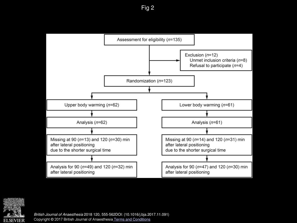 Fig 2 Consolidated Standards of reporting trials (CONSORT) diagram.