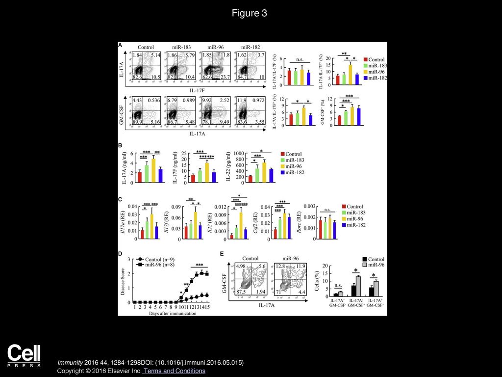 Figure 3 miR-183C Positively Regulates Pathogenic Function of Th17 Cells.