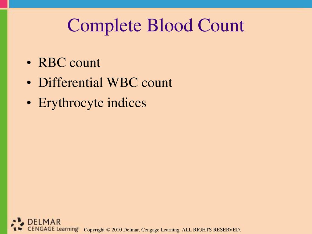 Complete Blood Count RBC count Differential WBC count