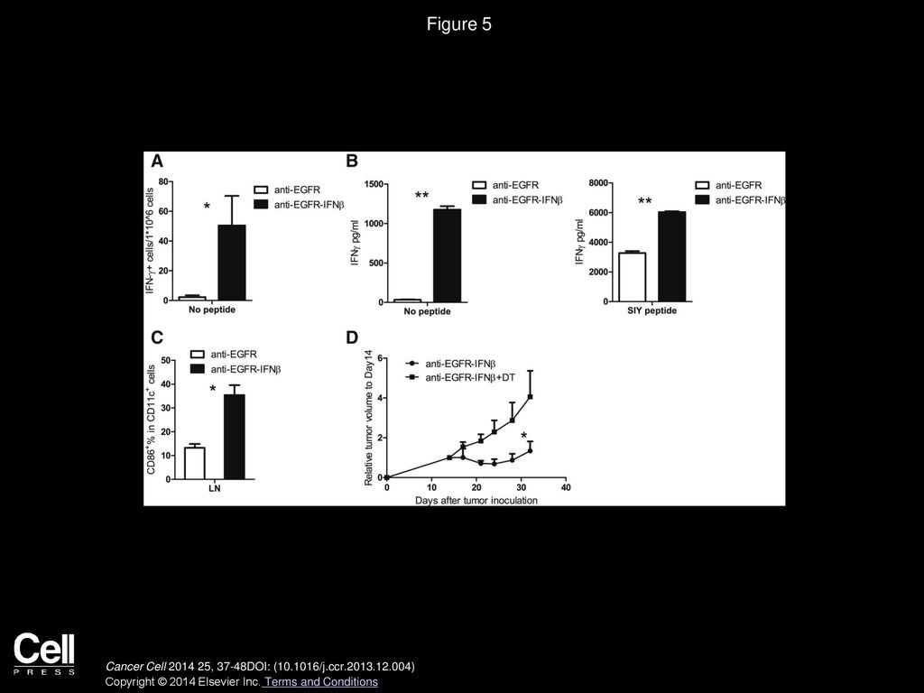 Figure 5 Anti-EGFR-IFNβ Restores the Cross-Presentation Ability of DCs