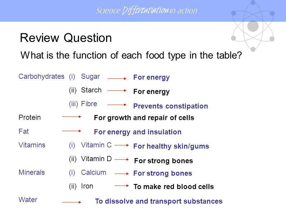 Review Question What is the function of each food type in the table