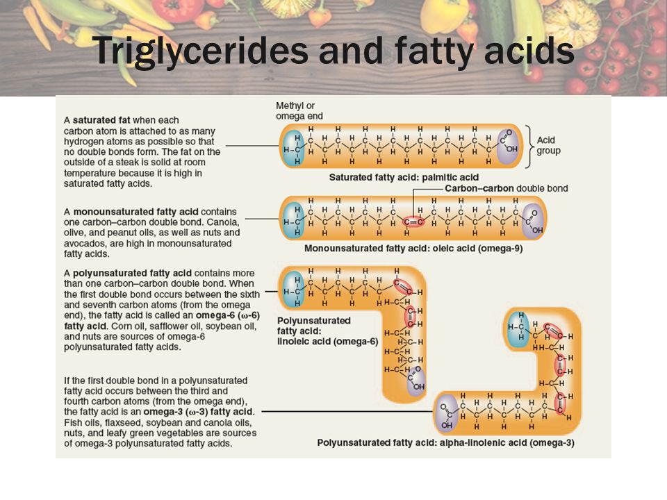 Triglycerides and fatty acids