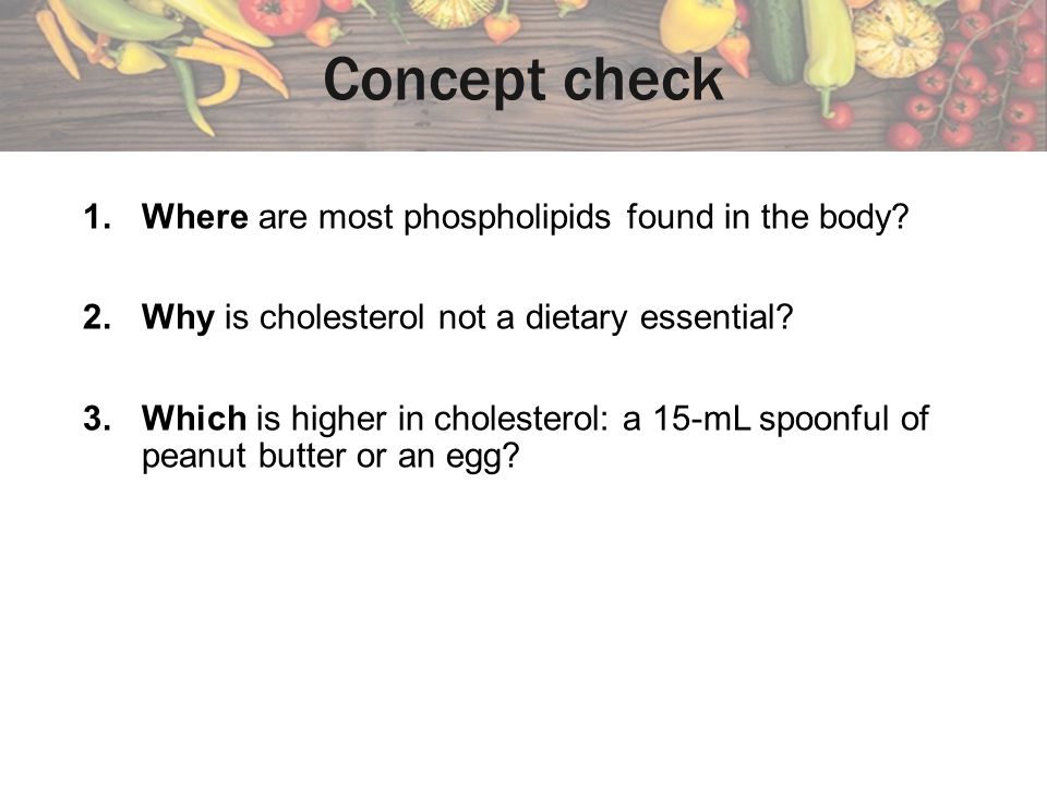 Concept check Where are most phospholipids found in the body