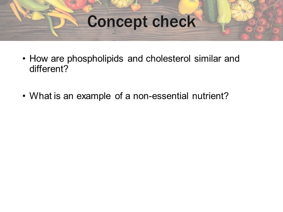 Concept check How are phospholipids and cholesterol similar and different.