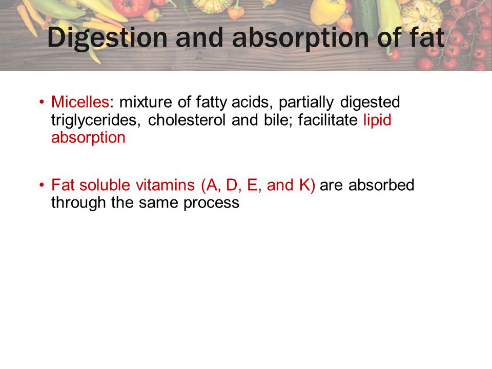 Digestion and absorption of fat