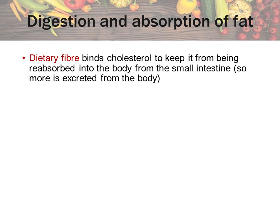 Digestion and absorption of fat