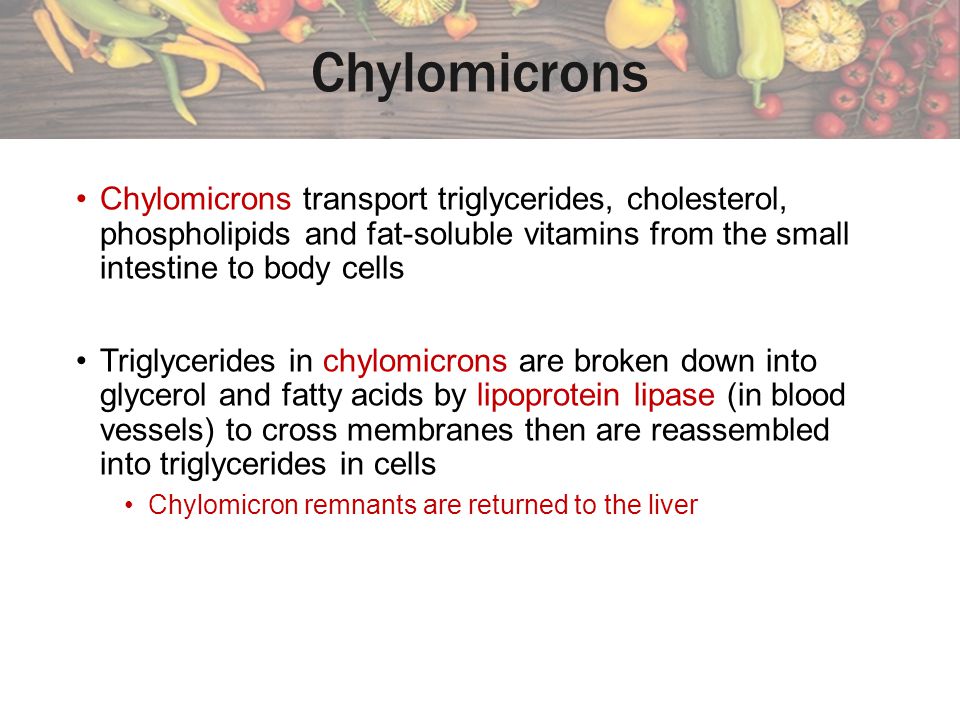Chylomicrons Chylomicrons transport triglycerides, cholesterol, phospholipids and fat-soluble vitamins from the small intestine to body cells.