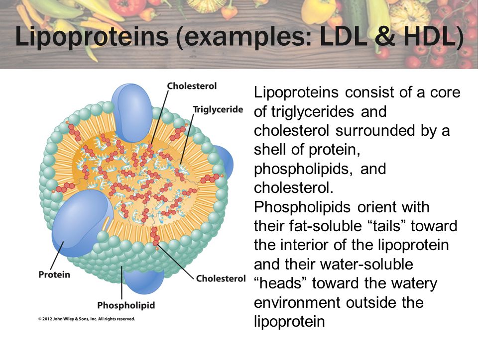 Lipoproteins (examples: LDL & HDL)